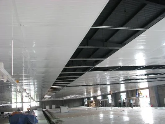 Báo giá thi công trần Panel